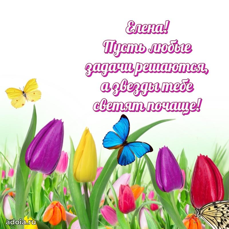 Открытка Елене праздничная