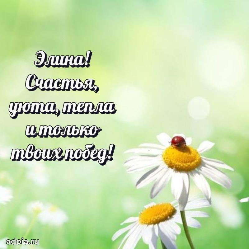 Поздравление женщине Элине