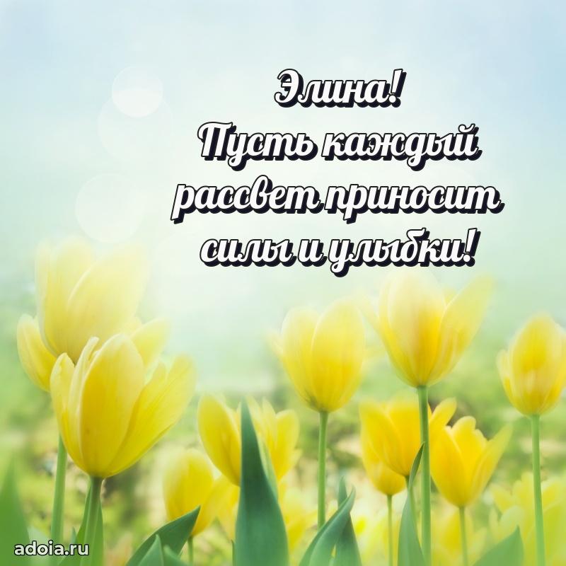 Картинка дочери Элине