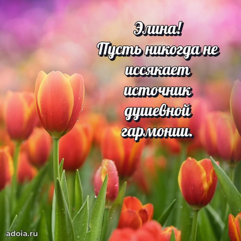 Открытка Элине праздничная