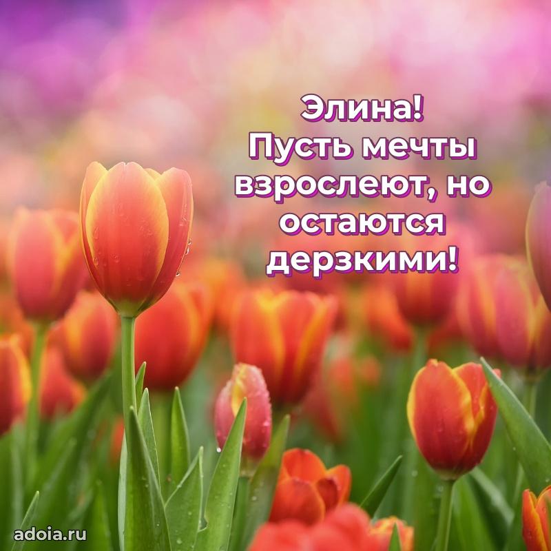 Открытка Элине праздничная