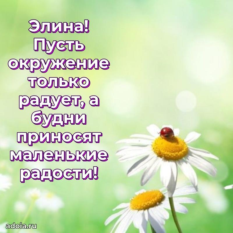 Поздравление женщине Элине