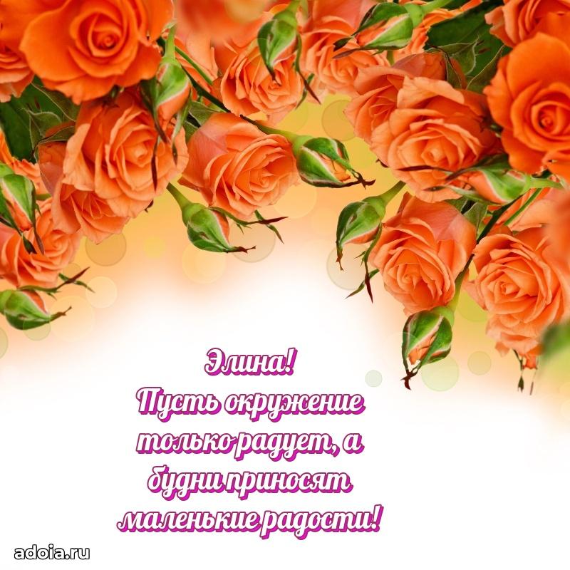 Смешная открытка для ватсап с днем рождения Элине