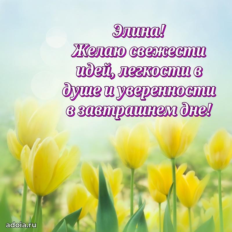 Поздравление Элине праздничные своими словами в прозе