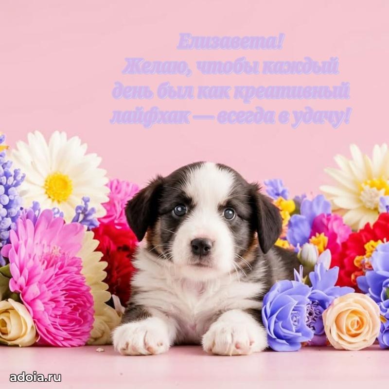 Поздравление Елизавете праздничные своими словами в прозе