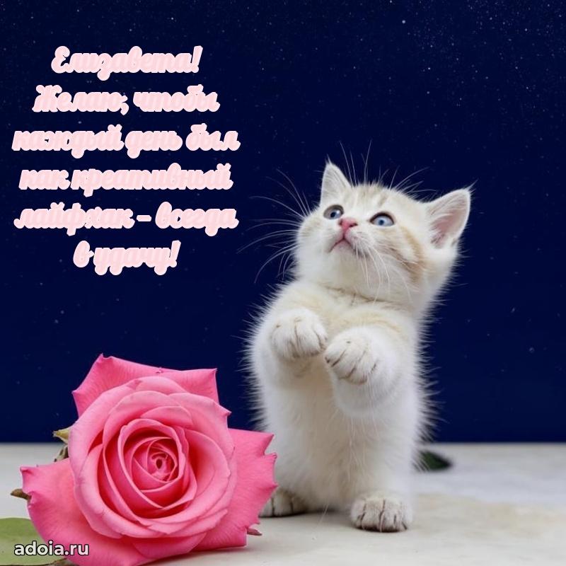 Яркая гифка Елизавете с днем рождения