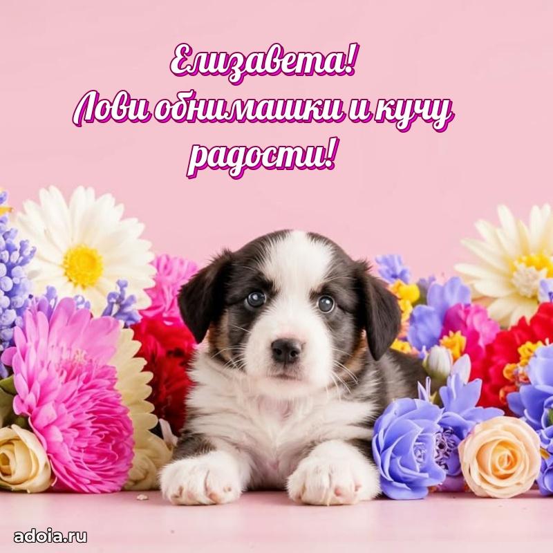 Новые открытки с днем рождения праздничные Елизавете