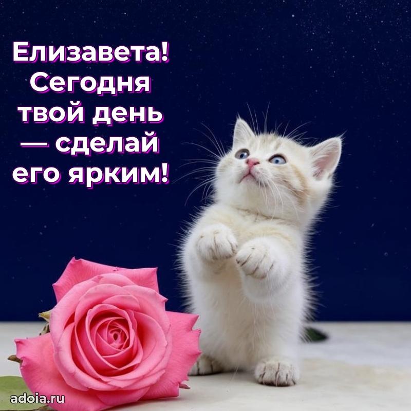 Открытка с пожеланиями Елизавете для ватсапа