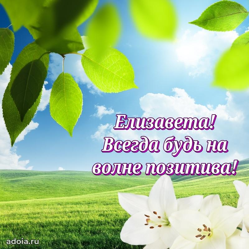 Смешная открытка для ватсап с днем рождения Елизавете