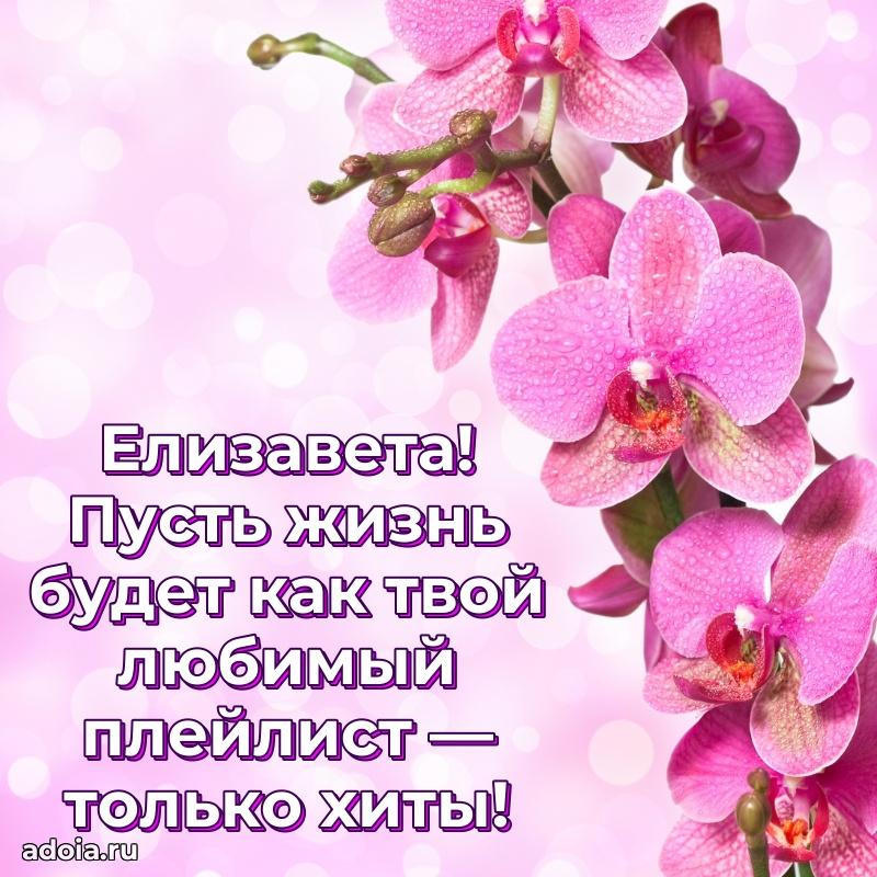 Картинка дочери Елизавете