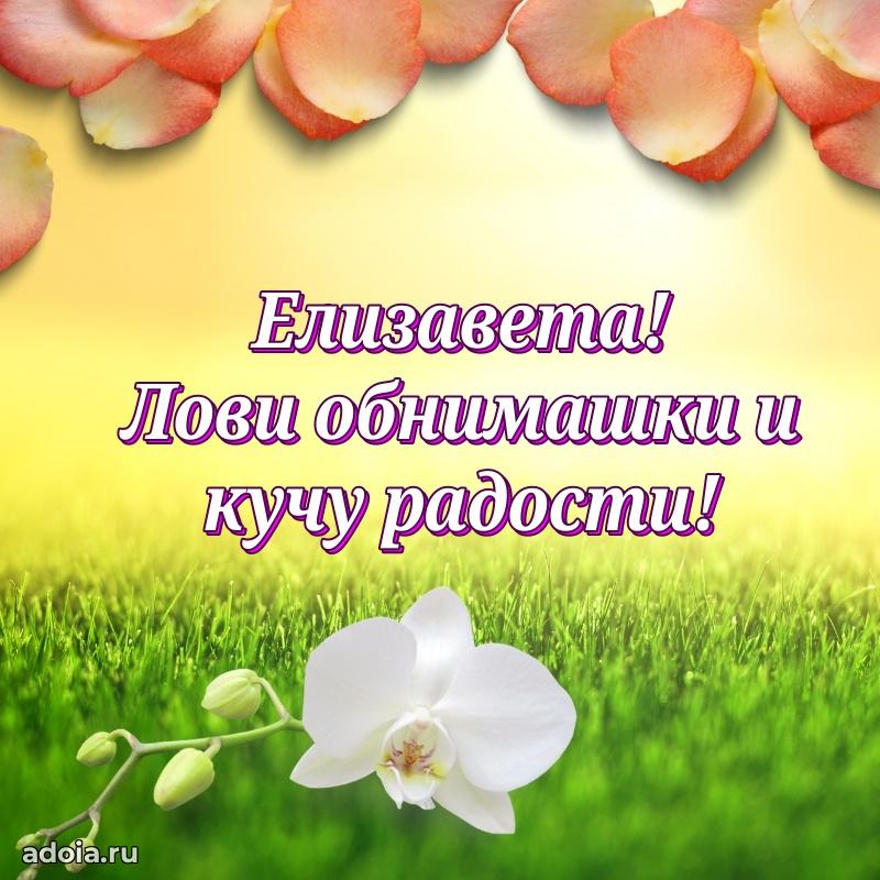 Яркая гифка Елизавете с днем рождения