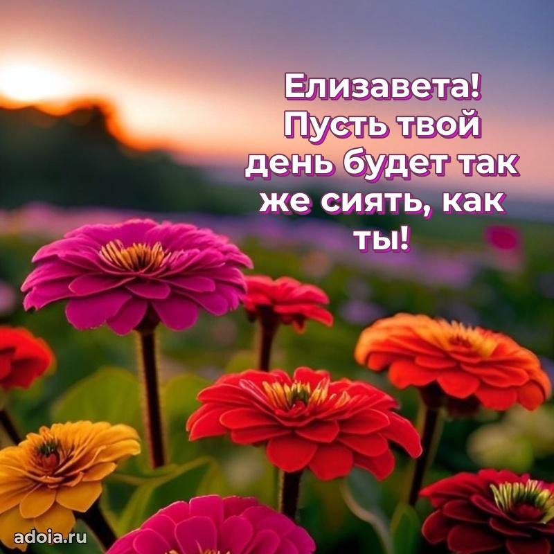 Смешная открытка для ватсап с днем рождения Елизавете