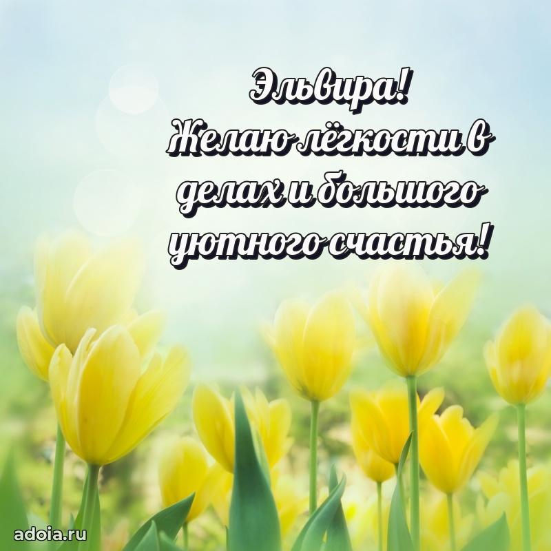 Мерцающая картинка Эльвире с днем рождения