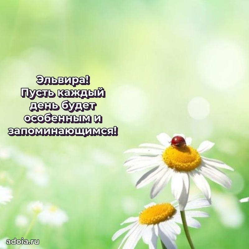 Современная открытка любовнице