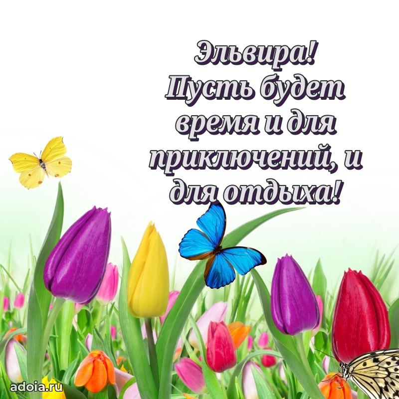 Пожелания маме Эльвире