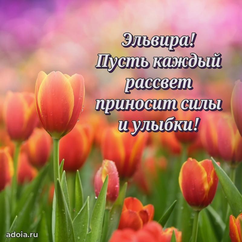 Открытка Эльвире праздничная