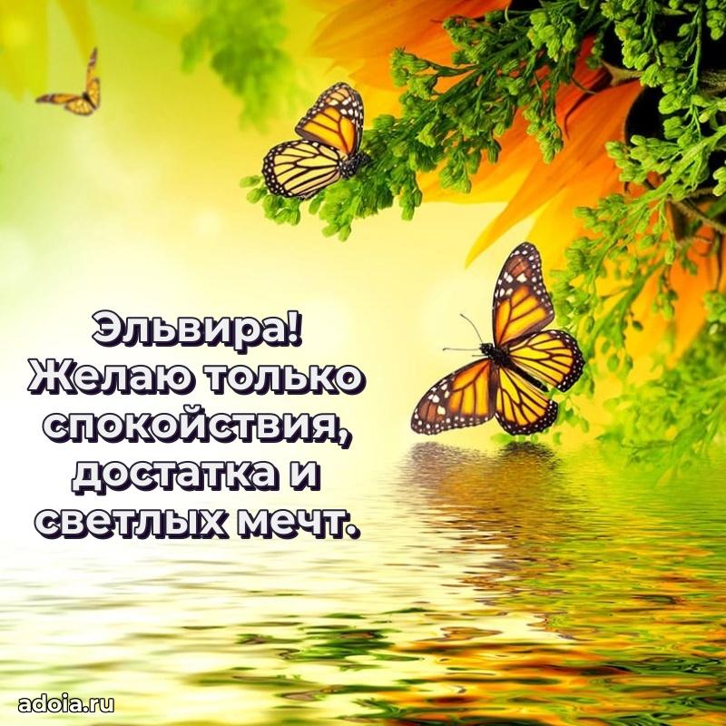 Открытка для ватсап с днем рождения Эльвире