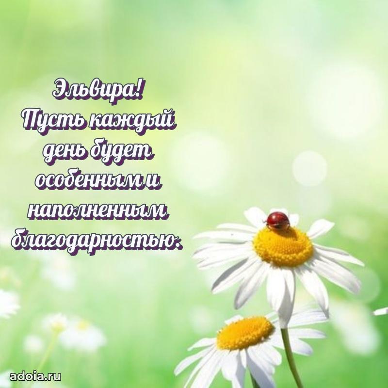 Открытка Эльвире праздничная