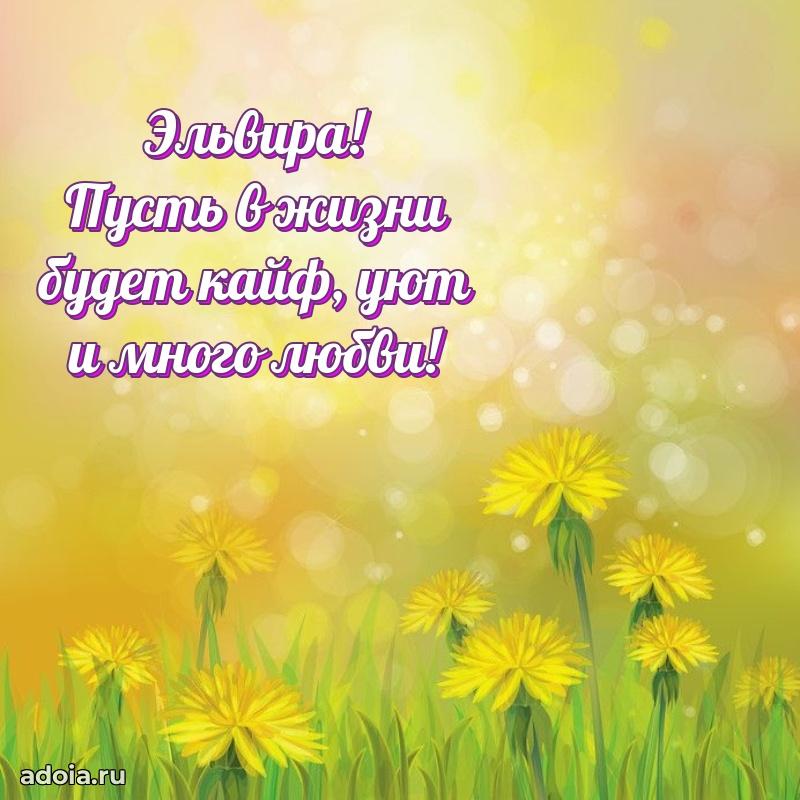 Картинка дочери Эльвире