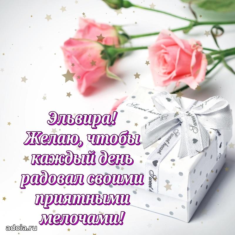 Смешная открытка для ватсап с днем рождения Эльвире