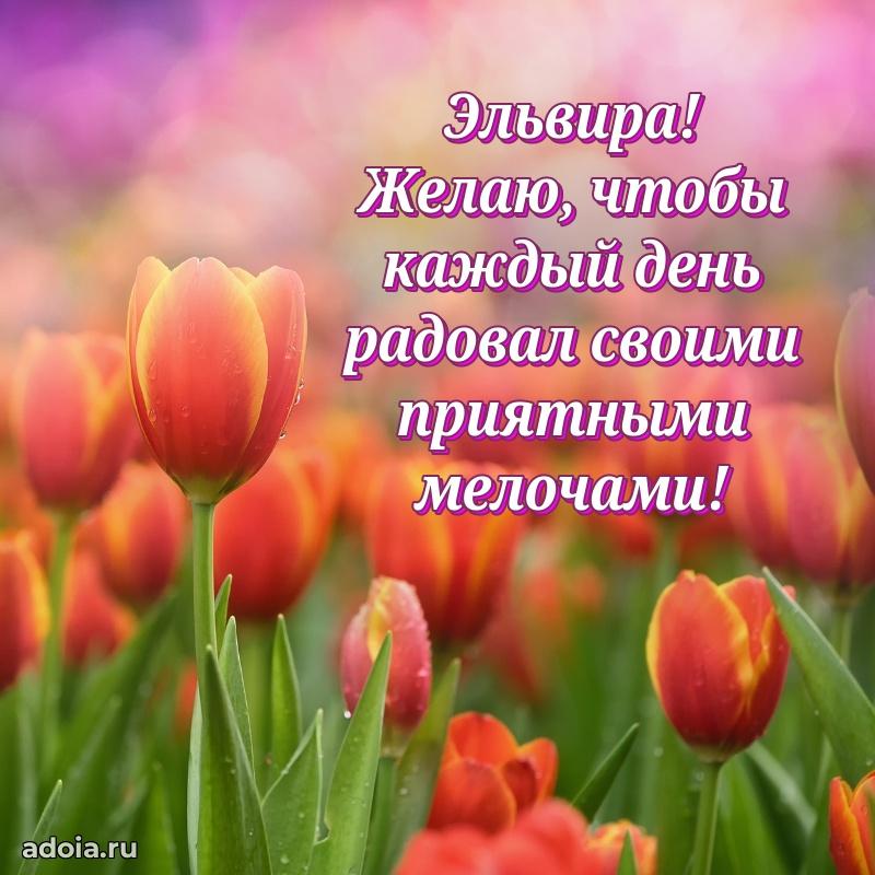 Открытка Эльвире праздничная