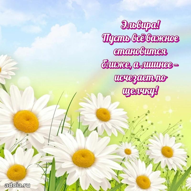 Поздравление Эльвире праздничные своими словами в прозе