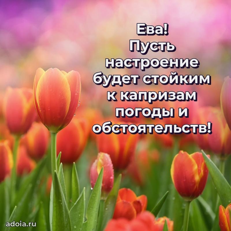 Поздравление с днем рождения женщине в стихах