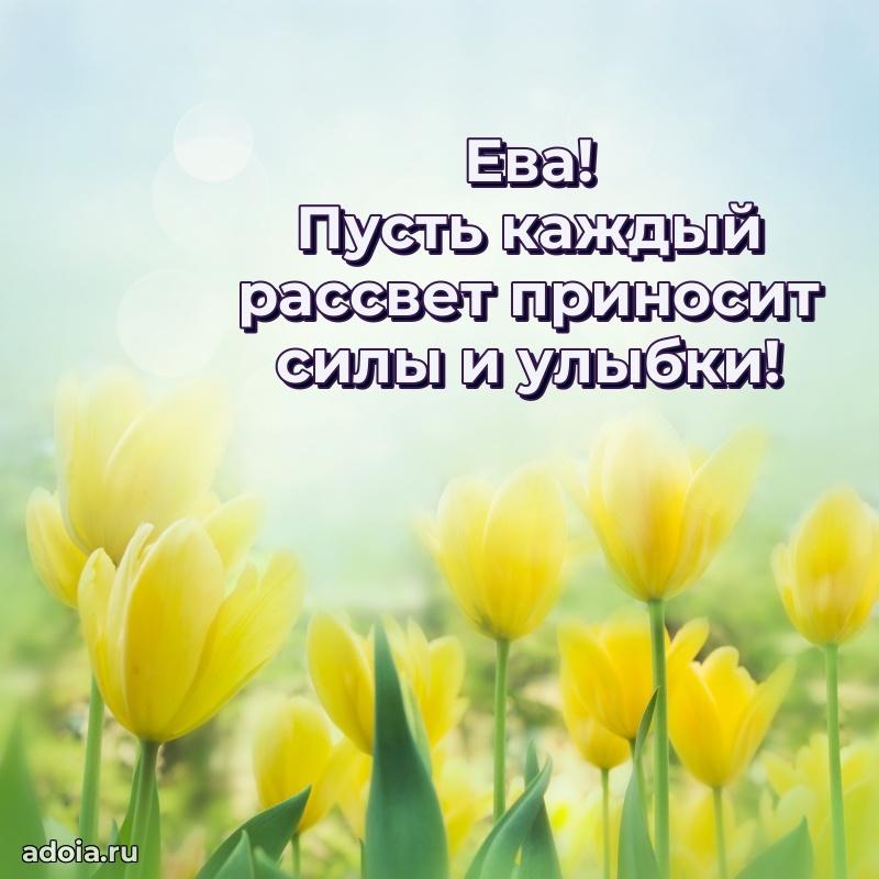 Открытка для ватсап с днем рождения Еве