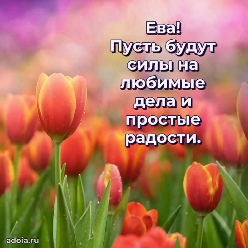 Новые открытки с днем рождения праздничные Еве