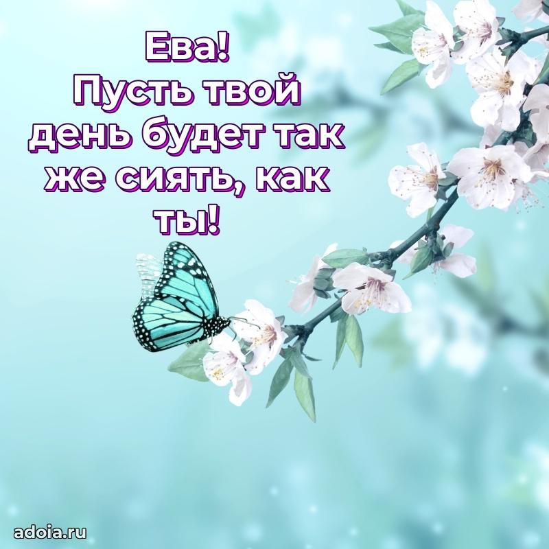 Мерцающая картинка Еве с днем рождения