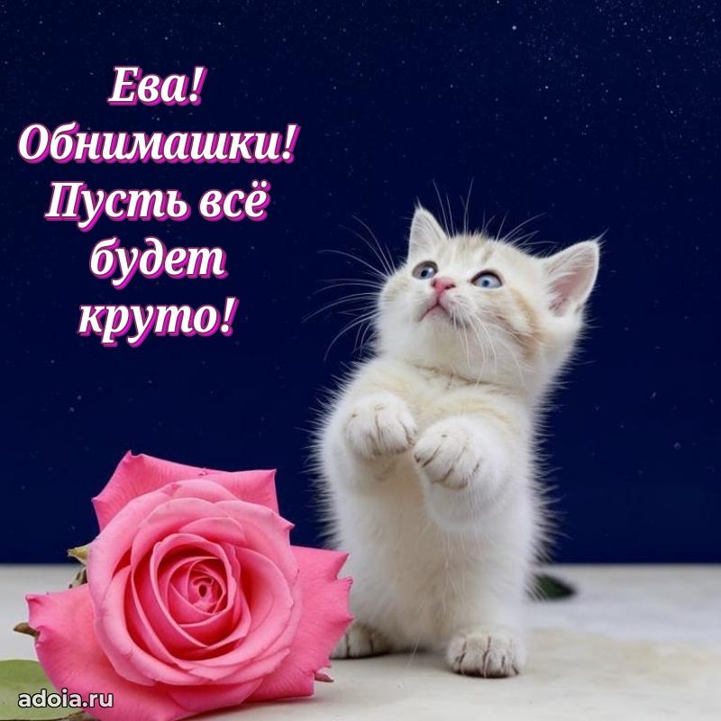Поздравить подругу с др Еве