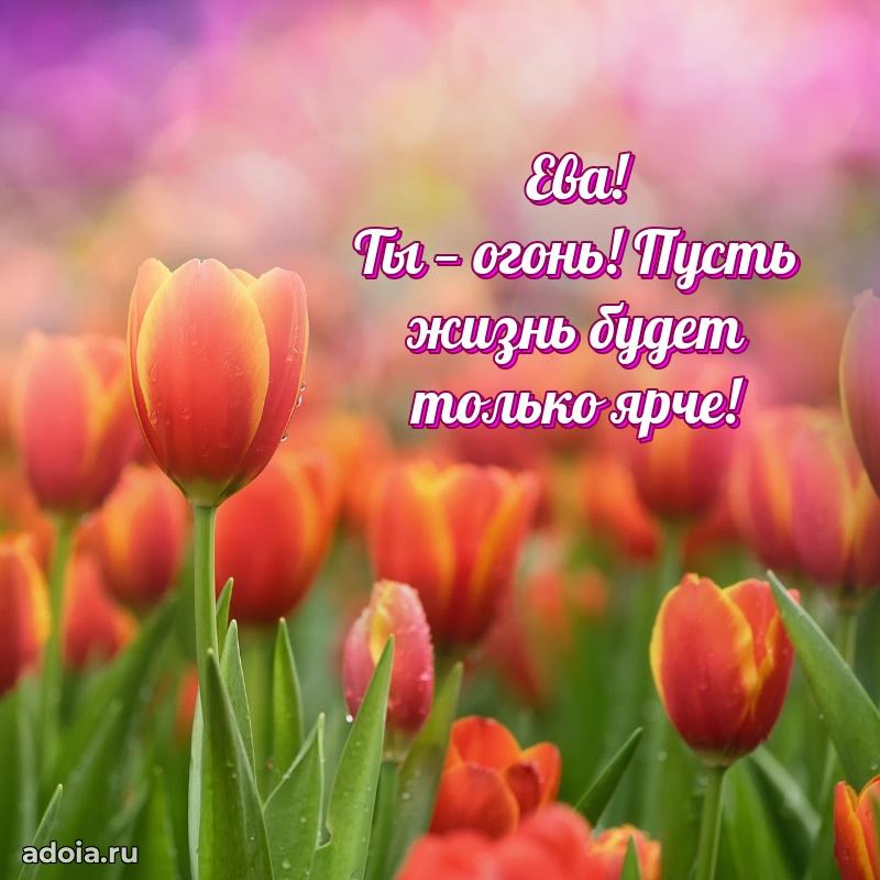 Поздравление Еве праздничные своими словами в прозе