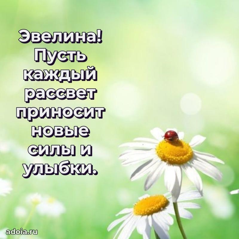 Открытка Эвелине праздничная