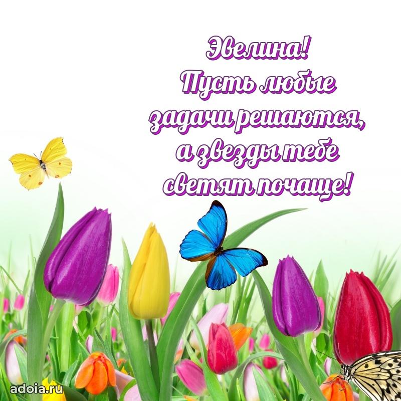 Яркая гифка Эвелине с днем рождения