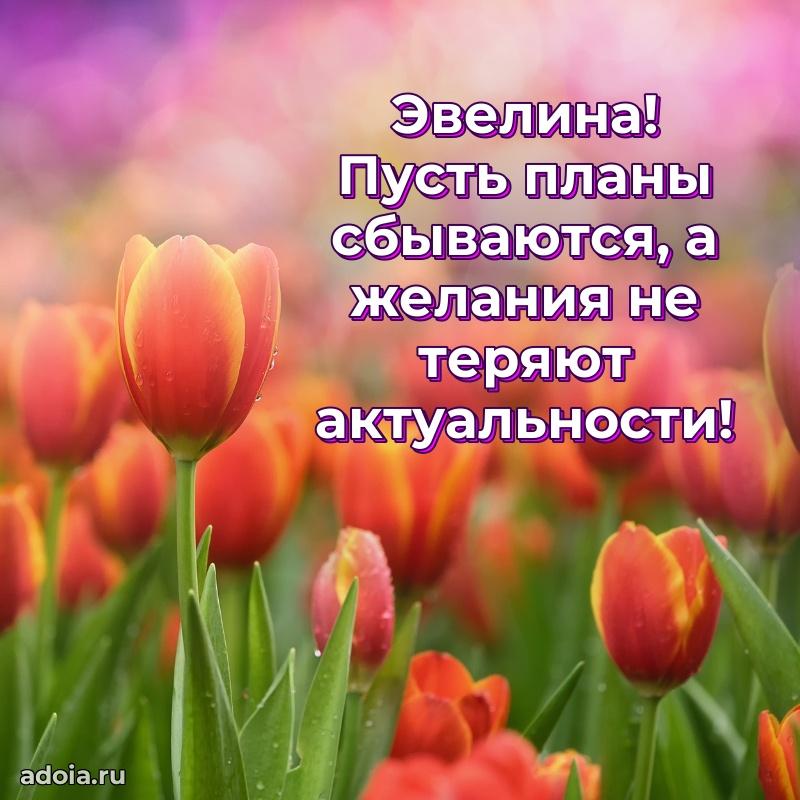 Новые открытки с днем рождения праздничные Эвелине