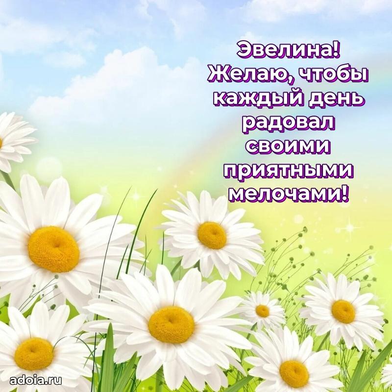 Открытка Эвелине праздничная