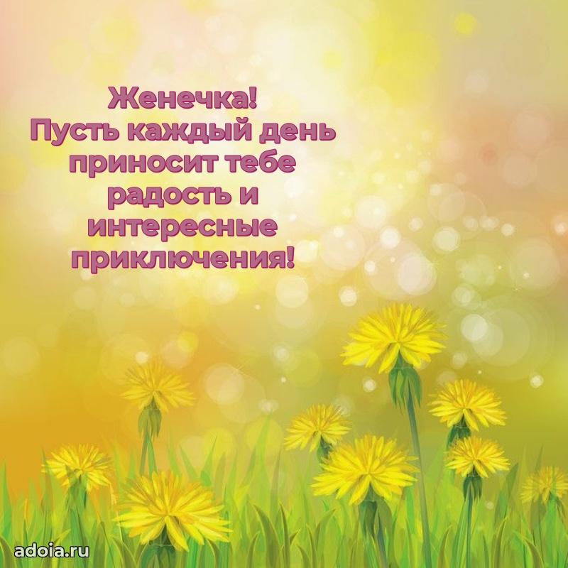 Открытка для ватсап с днем рождения Евгении