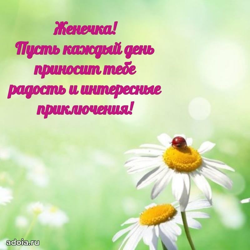 Поздравление девочке Евгении