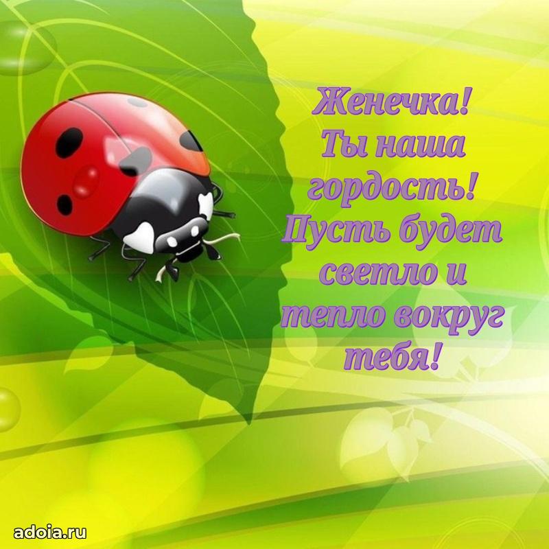 Новые открытки с днем рождения ребенку Евгении