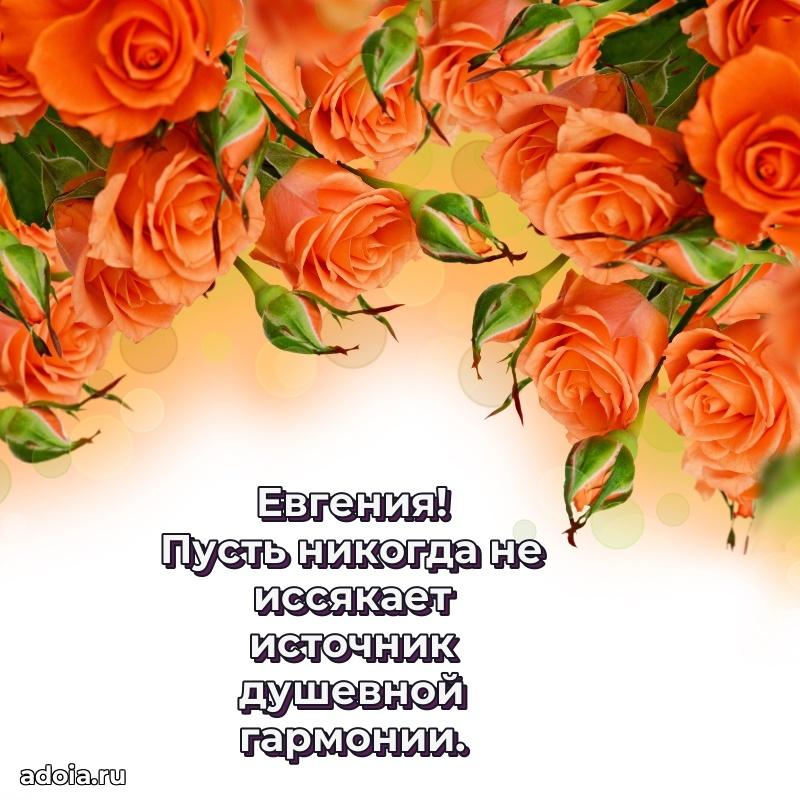 Поздравление с днем рождения женщине в стихах