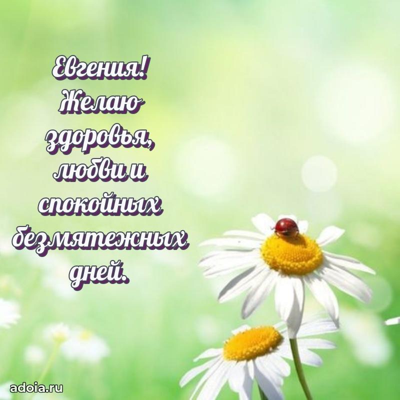 Картинка бабушке Евгении