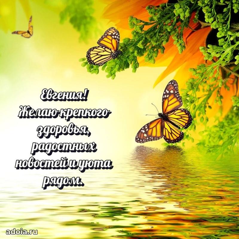 Яркая гифка Евгении с днем рождения