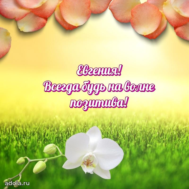 Мерцающая картинка Евгении с днем рождения