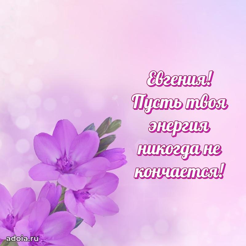 Смешная открытка для ватсап с днем рождения Евгении