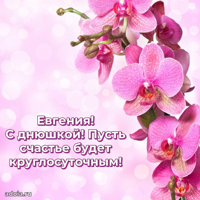 Поздравление Евгении праздничные своими словами в прозе