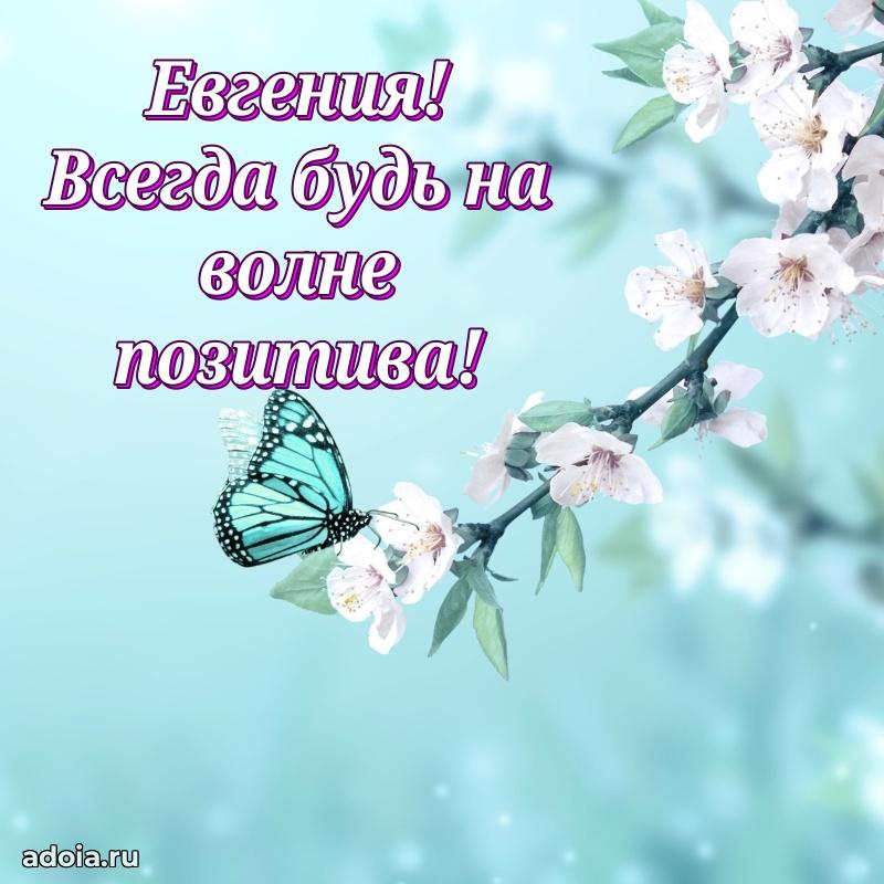 Поздравить подругу с др Евгении