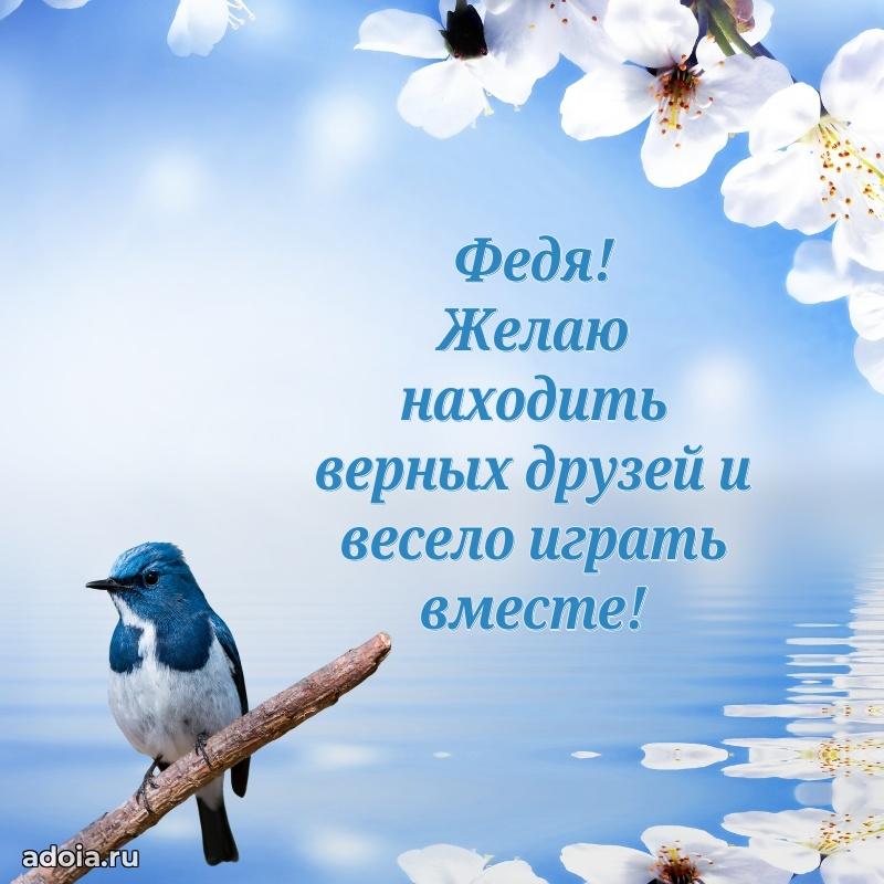 Поздравить племянника с др Федору