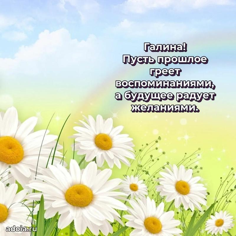 Поздравление с днем рождения женщине в стихах