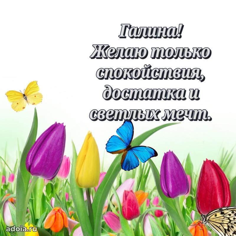 Открытка для ватсап с днем рождения Галине