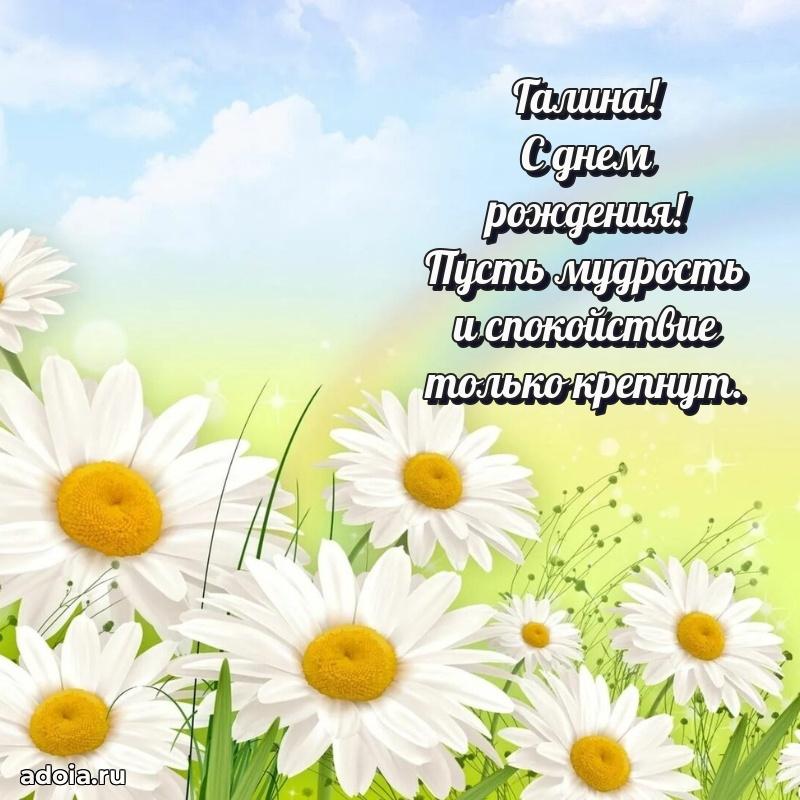 Открытка Галине праздничная